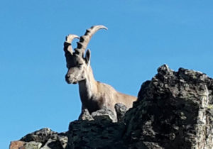 Natur im Lungau erleben