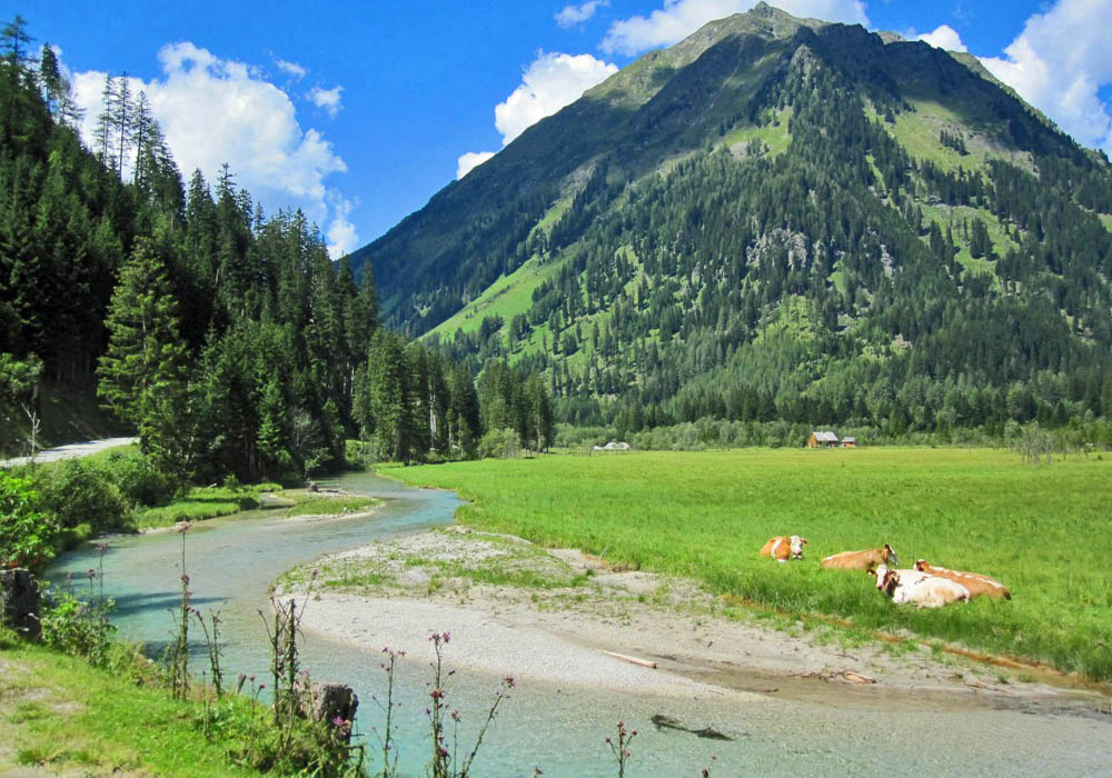 Sommerurlaub am Dengnhof in Weißpriach